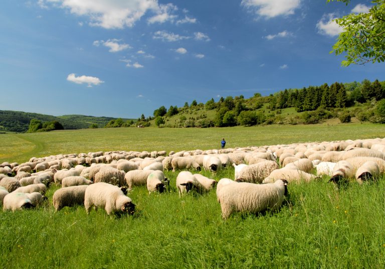 Die Rhön Ferienhaus RhönerAuszeit