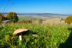 Blick auf Mittelsdorf