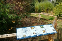 Erlebniswelt Rhönwald bei Kaltenwestheim